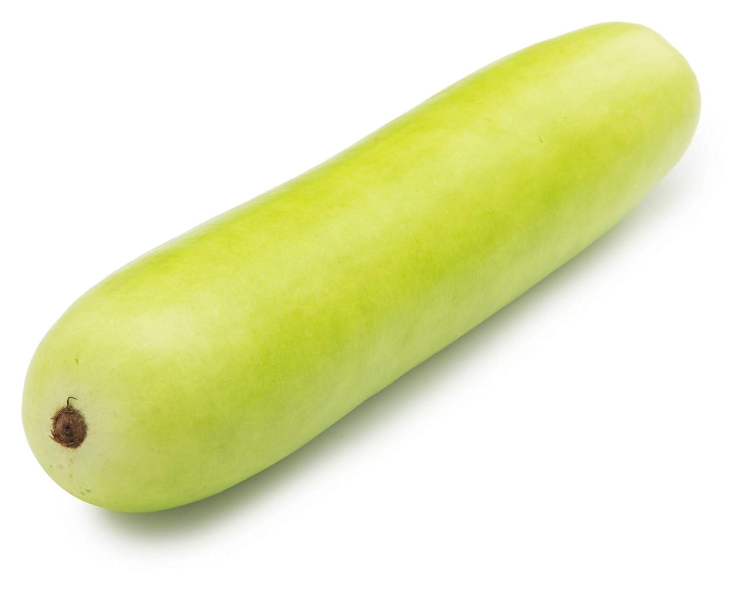 Fresh Bottle Gourd (Doodhi) - 1 Piece (Approx.500-800g)